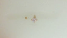 Load image into Gallery viewer, YELLOW PINK CZ 14 KARAT  NOSE
